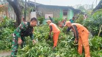 IMG-20240208-WA0085