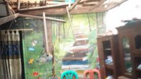 IMG-20240216-WA0285